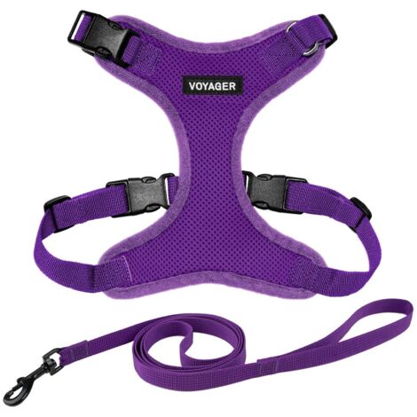 Voyager Step-in Lock Katzengeschirr und reflektierende Katzenleine mit Neoprengriff by Best Pet Supplies - Unterstützt kleine, mittelgroße und große Katzenrassen, Lila, size S - 1,5 m