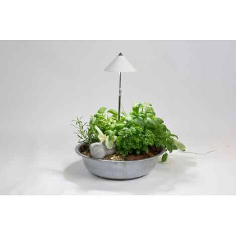 LED Pflanzenlampe 7W warmweiß – Teleskopstange 280mm-1000mm – 120° Beleuchtungswinkel – für Topfpflanzen mit hohem Lichtbedarf – Digebis (1/2)