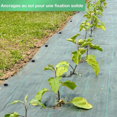 Set Di Picchetti Solari Da Giardino Aktive 2 Pezzi Plastica 12 X 13,5 X 12 Cm (6 Unit - Foto 13