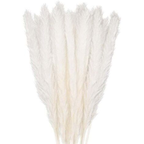 [NUNCA USADO] 30 piezas de hierba de la pampa, ramo de flores secas naturales de 58 cm para jarrones, decoración bohemia blanca para dormitorio, hogar, sala de estar, boda, fotografía, decoración de m (1/4)
