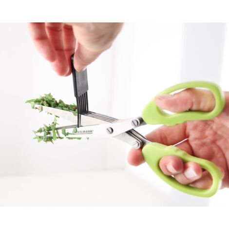 Fackelmann Ciseaux Multi-Lames Pour Herbes Aromatiques – 5 Lames Inox, Vert, Idéal Cuisine Quotidienne