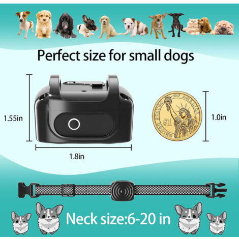 Haoyueer Hundehalsband Verstellbar – Weiches Baumwollhalsband Mit Schnellverschluss (Größe S, M, L)
