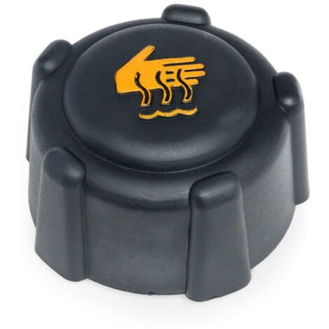 Bouchon Vase d'Expansion pour Renault Dacia et Nissan - (1/3)