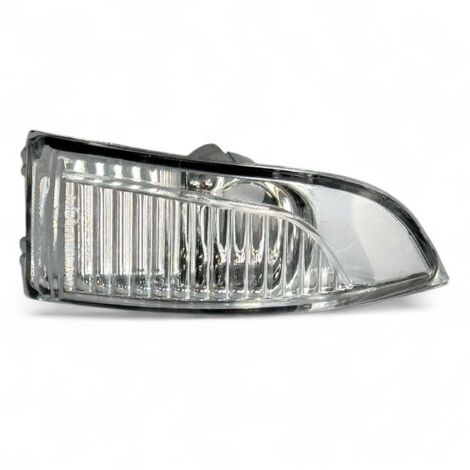 Feu clignotant de rétroviseur droit Renault Megane Scenic Laguna (1/5)