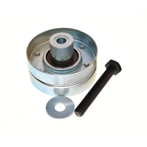 Rouleau de courroie striée MAXGEAR FORD TRANSIT 00- PLASTIQUE (1/3)