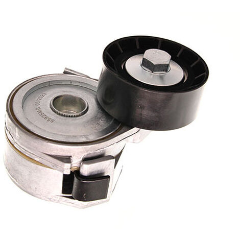 TENDEUR DE COURROIE POLY-RIB MAXGEAR CITROEN (1/2)