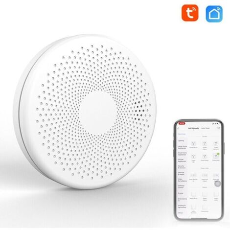 Intelligenter Rauch- und Kohlenmonoxidmelder – WLAN 2 in 1 – CO-Gas-Schallmelder – Blitzlicht-Alarmfunktion (1/4)
