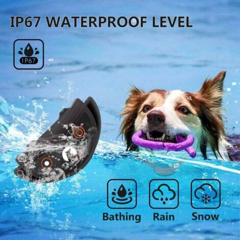 EZYDOG Double Up Hundehalsband – Reflektierend, Neopren, Mit Doppel-D-Ring