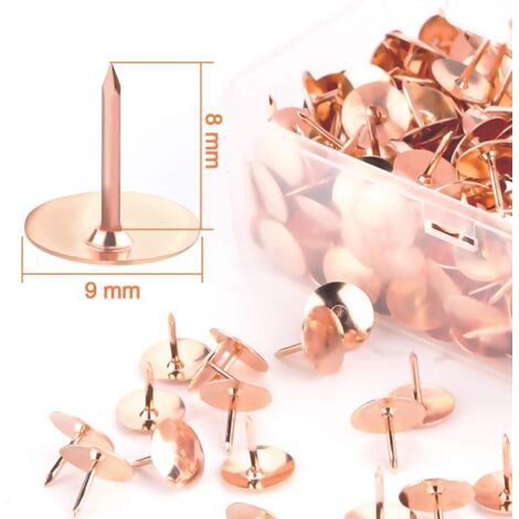 Set Da 290 Puntine Trasparenti Con Scatola 6 Scomparti – 6 Stili Diversi (Sfera, Rotonda, Gancio, Clip) In Acciaio, Per Bacheche E Fai-da-te