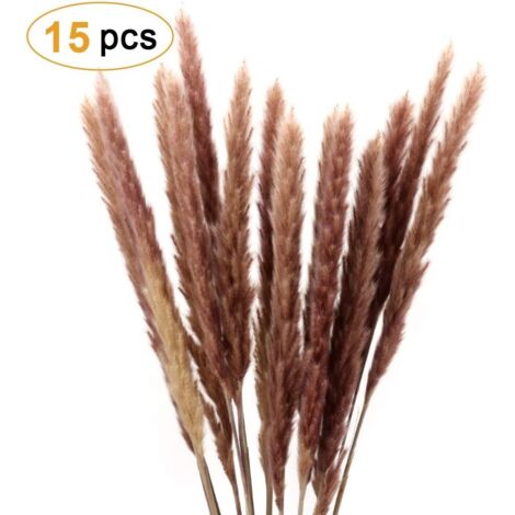 Set 80 Fiori Secchi Coda Di Coniglio – Erba Di Pampas Naturale 40 Cm, Marrone, Per Decorazione Bohémien E Matrimoni