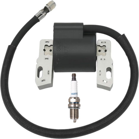 Paquete de bobina de encendido de alto voltaje compatible con 490586, 495859, 491312 y 715231 con bujía