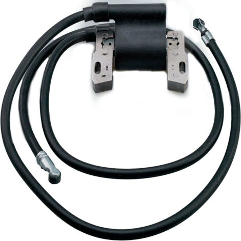 Bobina de encendido de alto voltaje para vehículos - Compatible con 590781 392329 394891 394988 - OTROS (1/3)