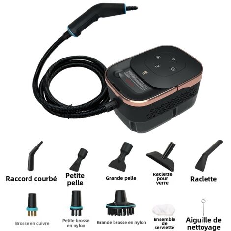 Limpiador a vapor portátil de alta presión de 2500 W, 4 bares, depósito de agua de 1250 ml, calentamiento en 15 s, control de vapor ajustable de 6 velocidades - Oro rosa