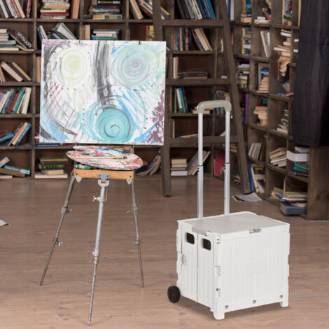 Carrito para Supermercado con 2 Ruedas Longitud de Mango Ajustable Capacidad 32 Litros 41,5x32,5x85 cm Blanco (1/5)