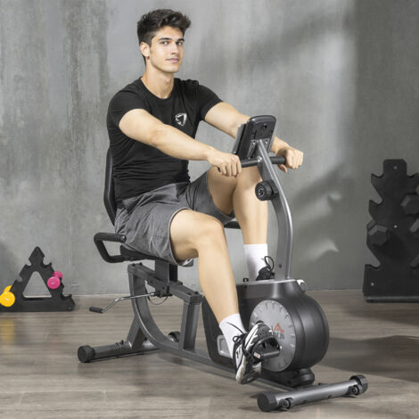 Bicicleta Estática con Respaldo 8 Niveles de Resistencia Magnética Longitud Ajustable Pantalla LCD para Casa Gris