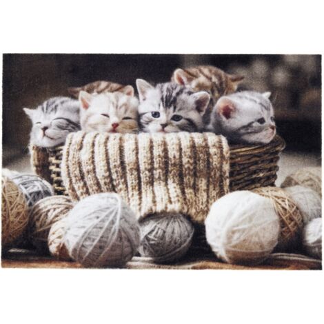 Paillasson extérieur et intérieur - 40 x 60 cm Chatons Laine (1/4)