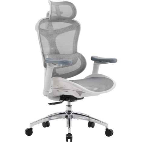 SIHOO Doro C300 Chaise de Bureau Ergonomique avec Accoudoirs Ultra Doux en 3D, Soutien Lombaire Dynamique pour Chaise Bureau à Domicile, Fauteuil de Bureau avec Dossier réglable(Grigio)