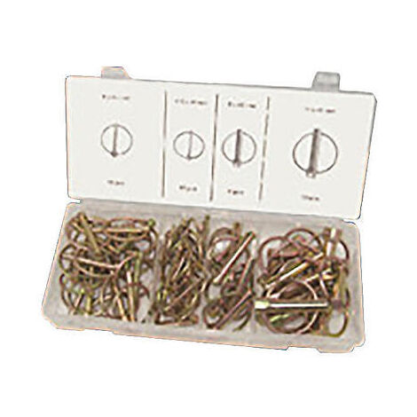SPINE SPINA A SCATTO COPPIGLIE FERMI PERNI SPINOTTI MM 5-6-8-11 BLISTER 50 PZ