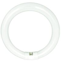 Sylvania - tl circline fc32w/840 coolwhite - 01964 - 5410288019642