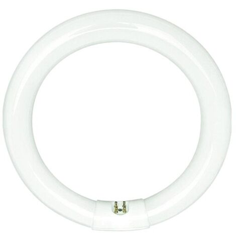 Sylvania - fc32w/840 coolwhite circline fluorescente - 01964 - 5410288019642