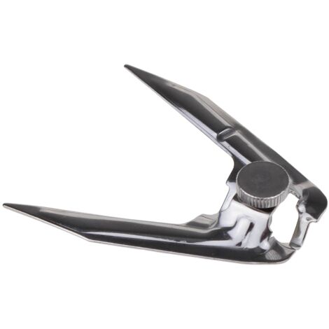 Delonghi - spiedo completo per arrostire -(304)(2p.piatte)(zsd) eo38 - 5511810161 - 5401101517056