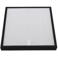 DeLonghi AC100 Filter AC100 Filter EPA-/Aktivkohlefilter