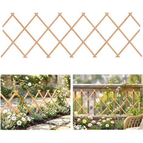 Enrejado de Jardín Extensible Soporte para Plantas Trepadoras Rosas y Parra 180x60 cm Marrón Claro (1/5)