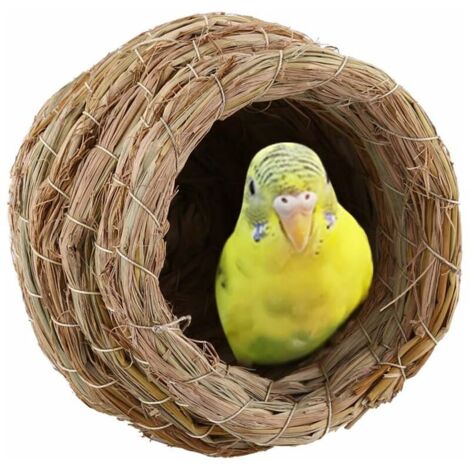 Nid d'oiseau, nid d'oiseau en Paille tissée à la Main, écloserie, élevage de grottes pour moineaux Perroquet canari Pinson (1/4)