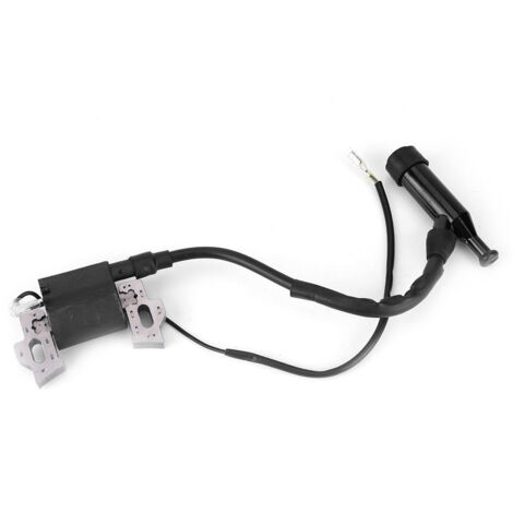 GARRYFIZH Pièces de générateur de bobine d'allumage pour générateur d'essence 168F-170F 2KW/3KW
