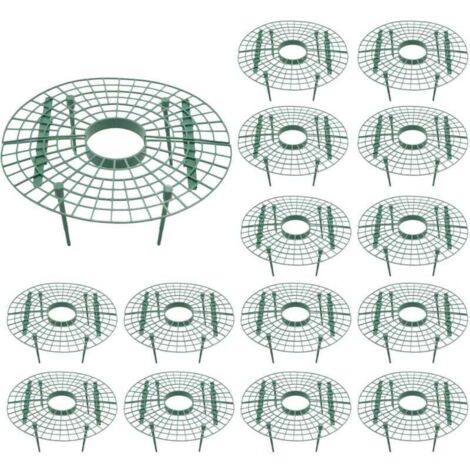 Lot de 15 supports pour plantes de fraises - évite la pourriture - Outil de culture de fraises (1/5)