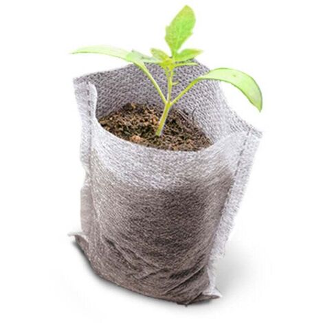 500 Pcs Sacs à Plantes Non Tissé Biodégradables - Tissu Pour Semis et Croissance d'Élevage - Tomates, Fleurs et Plus - Blanc - 8 × 10 cm (1/4)
