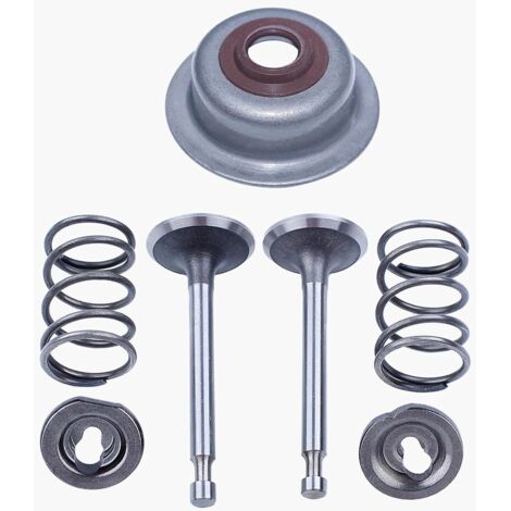 Échappement d'admission Ressort de soupape Joint de tige Trousse pour Honda GX160 GX200 168F 5.5HP 6.5HP 2kw-3kw Gaz Moteur Générateur