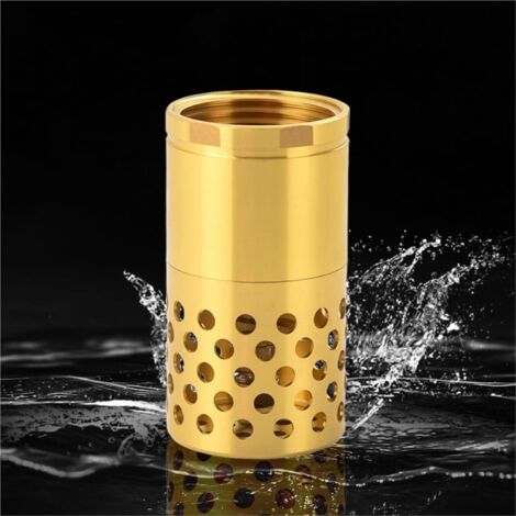Clapet de pied en laiton Vanne anti-retour pour pompe à eau Vanne de fond filtrante 1 pouce Vanne de pompe en laiton anti-fuite pour systèmes d'eau(DN25 1 Inch Small) (1/4)