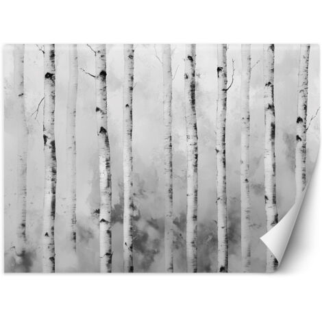 Papier peint Paysage de forêt de bouleaux nature 100x70 (1/5)
