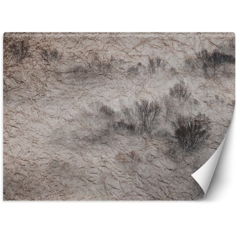 Papier peint Pré Brouillard Arbres Foncé 150x105 (1/5)