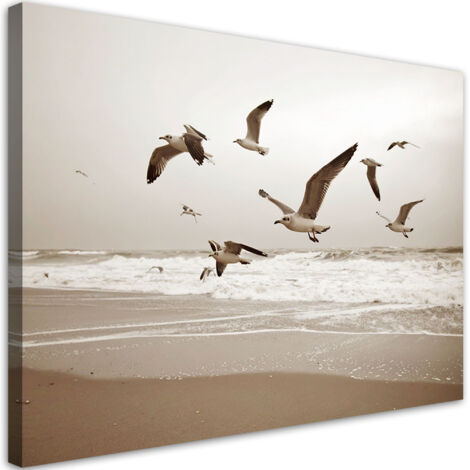 Tableau déco Mouettes oiseaux mer plage nature 90x60 (1/4)