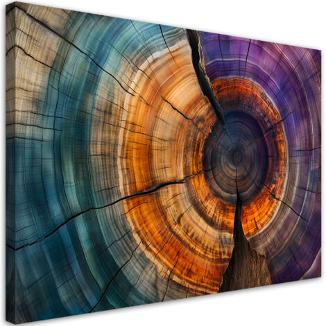 Tableau déco Anneaux d'arbre Abstraction 90x60 (1/5)