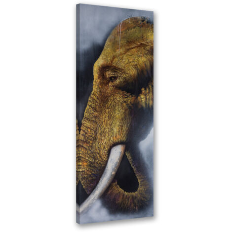 Tableau sur toile Eléphant unique 30x90 (1/5)