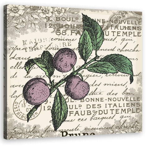 Tableau sur toile Prune vintage 30x30 (1/5)