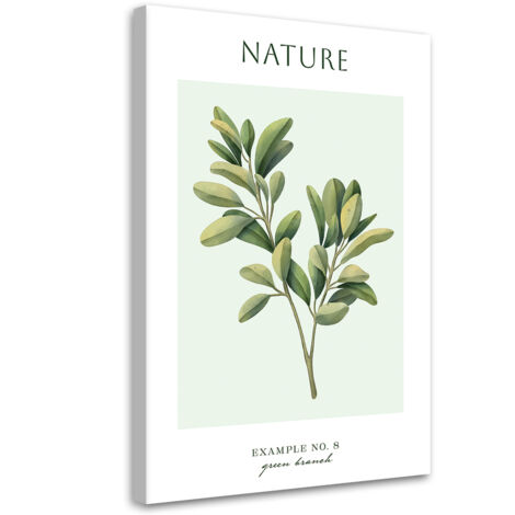 Tableau sur toile Branche verte - Nature 70x100 (1/5)