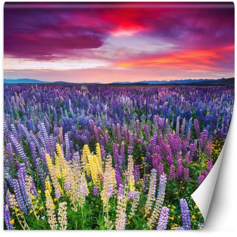 Papier peint Fleurs de lavande dans une prairie 250x250 (1/5)