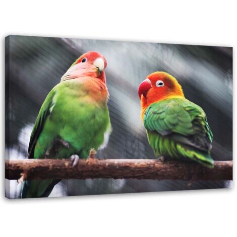 Tableau décoratif Perroquets colorés Oiseaux 90x60 (1/5)