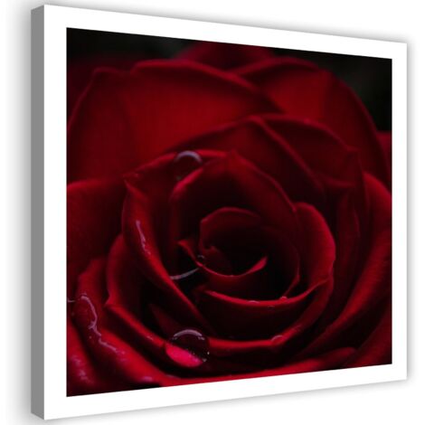 Tableau décoratif Rose rouge nature 40x40 (1/5)