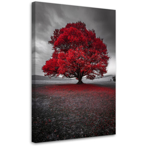 Tableau déco Arbre rouge Paysage Moderne 70x100 (1/5)