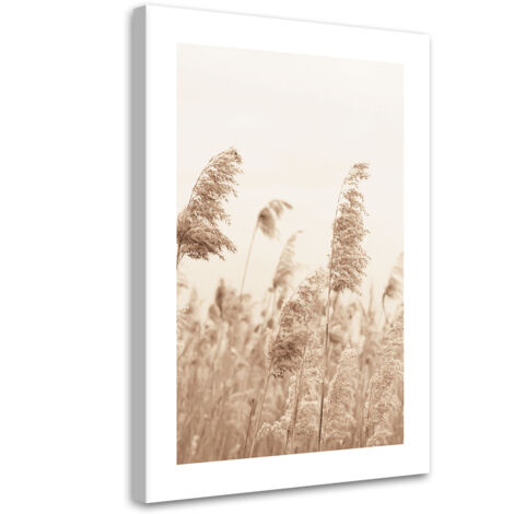 Tableau sur toile Roseaux balancés par le vent 60x90 (1/5)