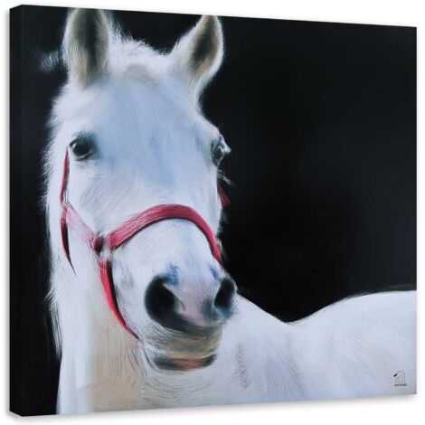 Tableau sur toile Cheval blanc Animaux 50x50 (1/5)