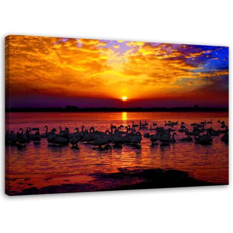 Tableau sur toile cygnes coucher de soleil 60x40 (1/5)