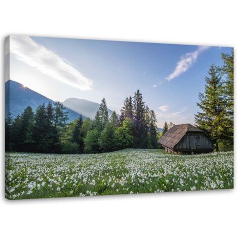 Tableau sur toile Paysage Maison de montagne 100x70 (1/5)