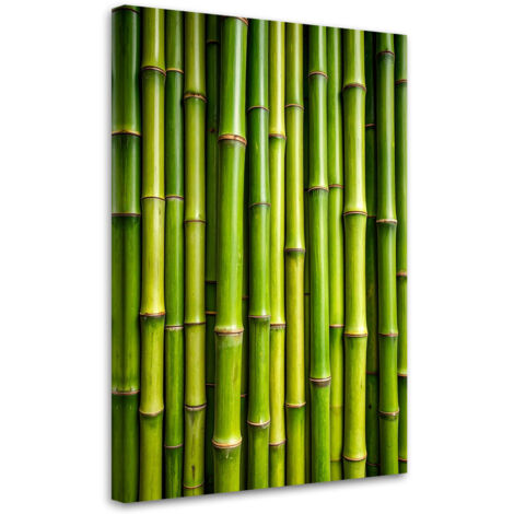 Tableau déco Bambou vert plantes 60x90 (1/4)