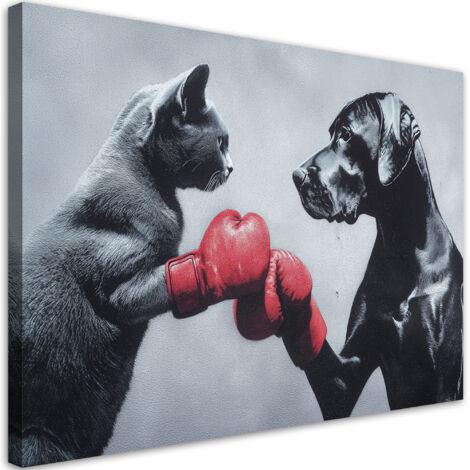 Tableau déco Chat et chien sur un ring 60x40 (1/5)